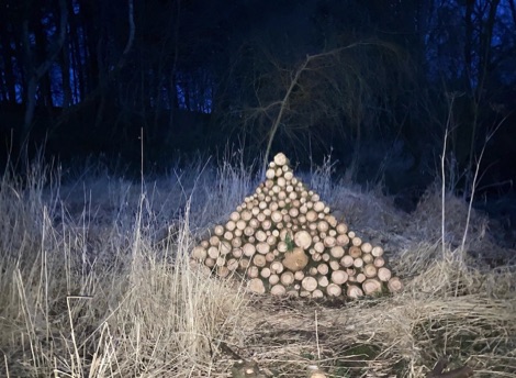 Round logs stacked in a triangular shape surrounded by long frosty grass